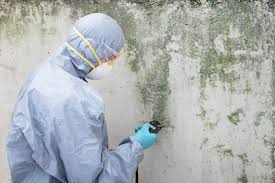 Professional Mold Inspection in Owensville, IN